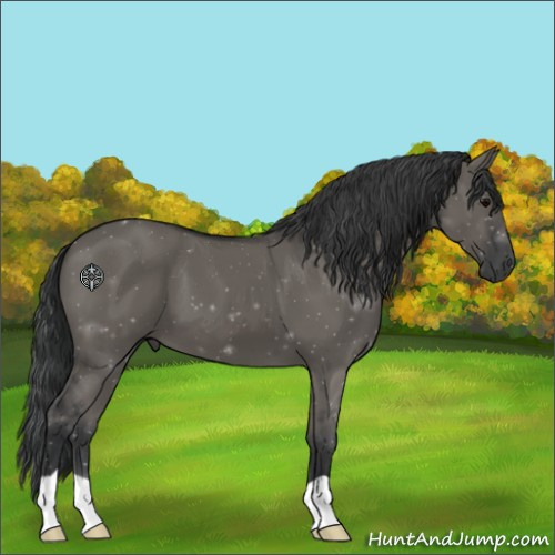 Horse Color:Grullo 