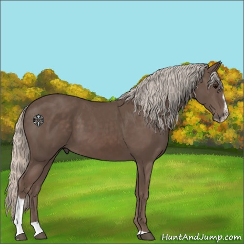 Horse Color:Silver Black Sabino 