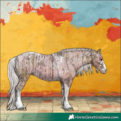 Horse Color:Silver Black Ice Tobiano  and Silver Black Ice Appaloosa 