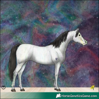 Horse Color:Bay Ice Roan Tobiano  and Blue Ice Roan 