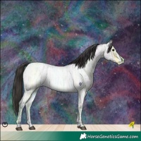 Horse Color:Bay Ice Roan Tobiano  and Blue Ice Roan 