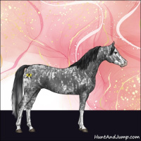 Horse Color:Black Ice Tobiano Near Leopard  and Black Ice Sabino Splash 