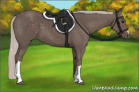 Horse Color:Silver Black 