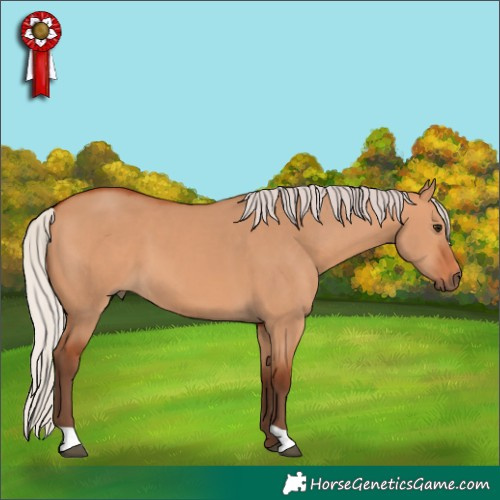 Horse Color:Silver Bay Dun 
