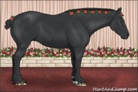 Horse Color:Black Frame 