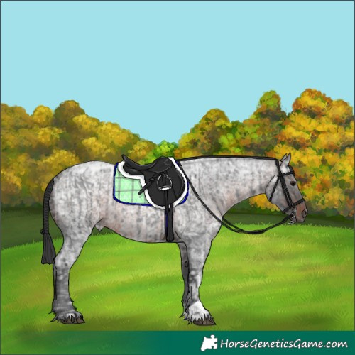 Horse Color:Blue Ice Roan  and Brown Ice Roan 