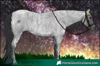 Horse Color:Blue Ice Roan  and Blue Ice Roan 