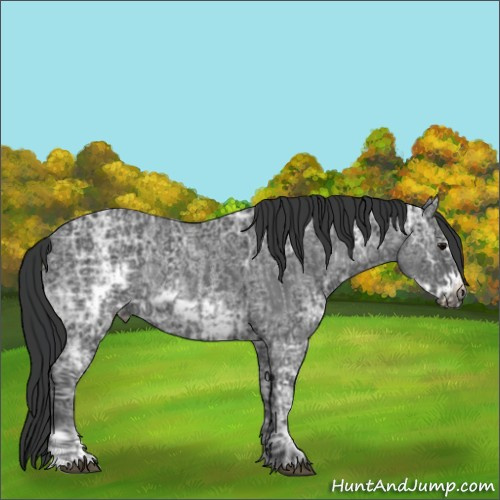 Horse Color:Blue Ice Roan  and Blue Ice Roan Frame 