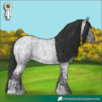 Horse Color:Blue Ice Roan  and Blue Ice Roan 