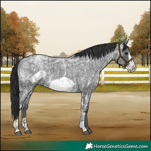 Horse Color:Blue Ice Roan  and Blue Ice Roan Frame 