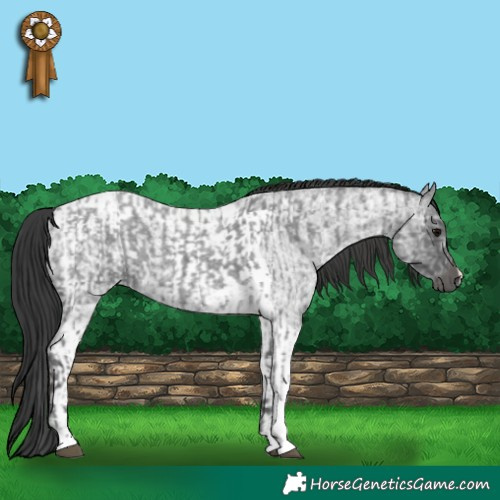 Horse Color:Blue Ice Roan Tobiano  and Blue Ice Roan Tobiano 