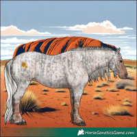 Horse Color:Blue Ice Roan  and Silver Blue Ice Roan 