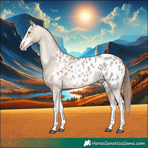 Horse Color:White Spotted Brown Ice Pearl Appaloosa 