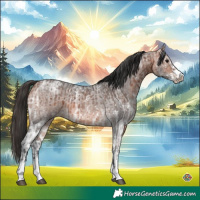 Horse Color:White Spotted Bay Ice and Bay Ice Roan Sabino