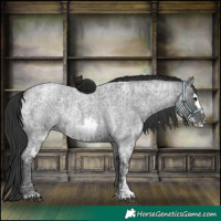 Horse Color:Blue Ice Roan  and Blue Ice Roan Frame 