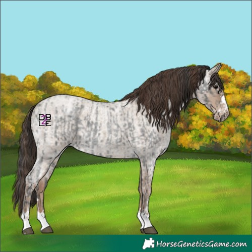 Horse Color:Blue Ice Roan and Classic Champagne Ice Roan