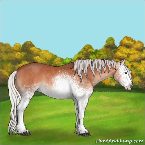 Horse Color:White Spotted Silver Bay 