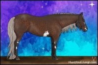 Horse Color:White Spotted Silver Bay Frame 