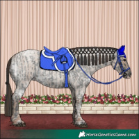 Horse Color:Blue Ice Roan  and Classic Champagne Ice Roan 
