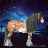 Horse Color:White Spotted Bay Sabino Frame