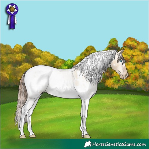 Horse Color:Gray White Spotted Sable Champagne Pearl Dun Tobiano Blanket 
