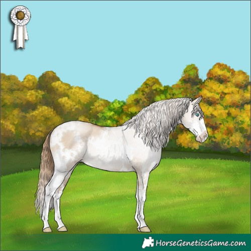Horse Color:White Spotted Grullo Pearl Sabino