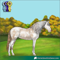 Horse Color:White Spotted Grullo Pearl Sabino Rabicano 