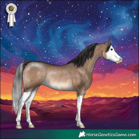 Horse Color:Brown Dun Splash Rabicano