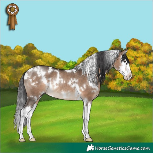 Horse Color:White Spotted Brown Dun Splash Rabicano 