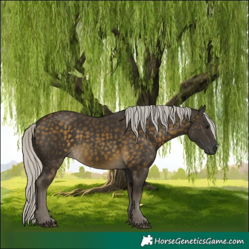 Horse Color:Silver Buckskin 