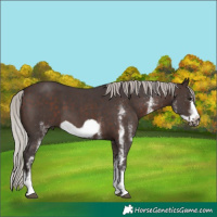 Horse Color:White Spotted Silver Brown Frame 