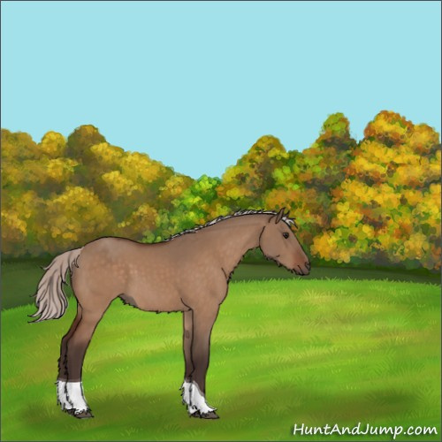 Horse Color:Silver Bay Dun Tobiano 