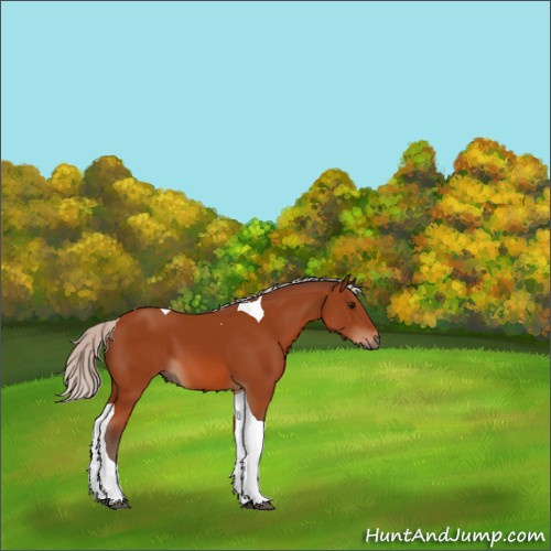 Horse Color:Silver Bay Tobiano 