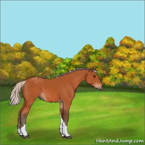 Horse Color:Silver Bay Tobiano 