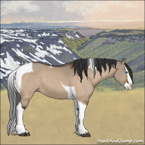 Horse Color:Brown Dun Splash Tobiano 