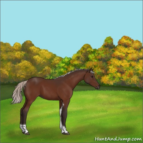 Horse Color:Silver Bay Tobiano 