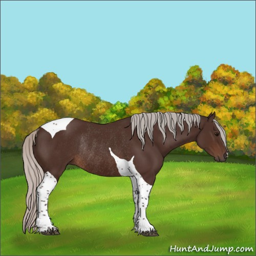 Horse Color:Silver Brown Tobiano Rabicano 