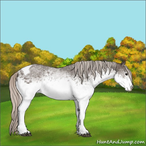 Horse Color:White Spotted Silver Black Tobiano 