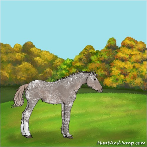 Horse Color:Silver Black Ice Tobiano 