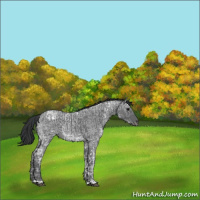 Horse Color:Blue Ice Roan  and Blue Ice Roan 