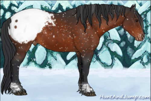 Horse Color:Brown Tobiano Snowcap 