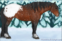 Horse Color:Brown Tobiano Snowcap 