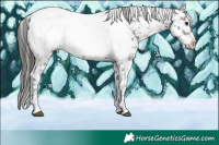 Horse Color:Brown Tobiano Appaloosa Rabicano 