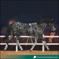 Horse Color:Blue Ice Roan  and Gray Black Tobiano 