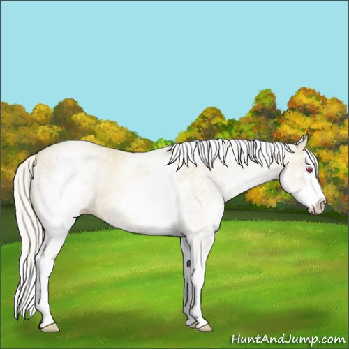 Horse Color:Watercolor White Spotted Silver Brown Chinchilla Pearl Splash Varnish