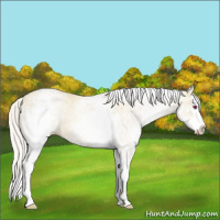 Horse Color:Watercolor White Spotted Silver Brown Chinchilla Pearl Splash Varnish 
