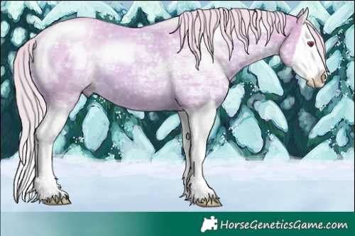 Horse Color:Watercolor Liver Chestnut Chinchilla Ice Mushroom Splash