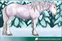 Horse Color:Watercolor Liver Chestnut Chinchilla Ice Mushroom Splash 