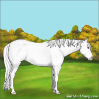 Horse Color:Liver Chestnut Chinchilla Ice Mushroom Splash Tobiano 