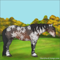 Horse Color:Brown Ice 